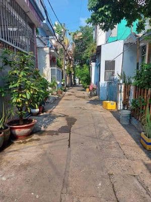 Ngay phạm văn chiêu -bán nhà tặng dãy trọ - 67m2 - 3 .7 tỉ thương lư