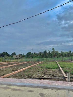 Đất View Núi Chứa Chan Đường bê tông 6m có vỉa hè Giá rẻ.