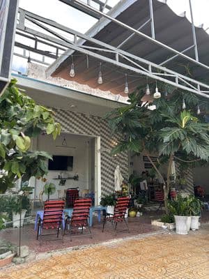 Quán cafe gốc đường số 2 và 14 Sao Mai BK5