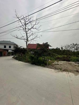 chính chủ bán mảnh đất cây lâu năm