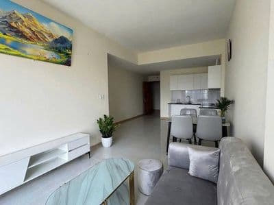 C/c Central Plaza-Phạm Văn Hai, 2PN 77m2, Full nội thất, giá 13 tr/th