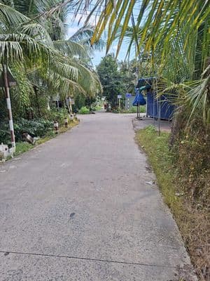 Bán đất Mặt tiền đường Trần Thị Điểu
