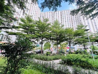 e cần cho thuê gấp căn zentower q12 2 pn chỉ 6 tr ở ngay