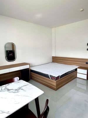 Cho thuê căn hộ 1 pn, 1 giường fnt có ban công đ.phan chu trinh
