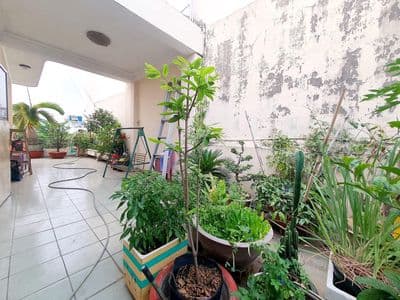 Ngộp Tiền Cần Bán Gấp Nhà Trung Tâm Q10 Giá 4ty5, Nhà Nở Hậu SHR