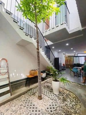 Cho thuê căn hộ phường tân mai giá 4,5 triệu