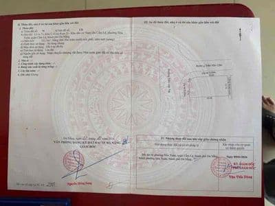 Lô góc 2MT đường Trần Văn Trà và Trần Văn Cẩn, Hoà Xuân, Đà Nẵng.