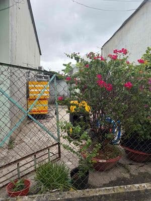 bán nhà trung tâm tt hậu nghĩa