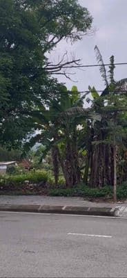 Lô đất phong thuỷ đẹp mặt tiền rộng có phân lô, hợp an cư lâu dài thôn
