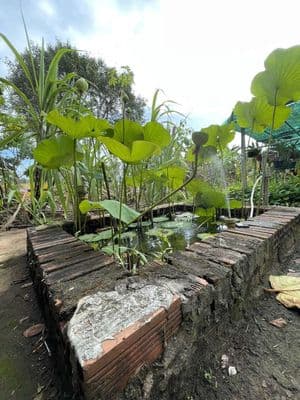 bán nhà 1lâu 1 trệt