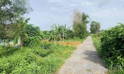 {gấp} cần bán đất đẹp thôn đại mỹ, đại lộc