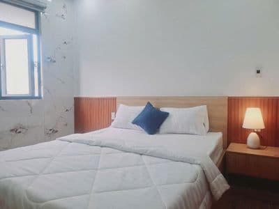 Cho thuê căn hộ 1pn 45m2 đường Tô hiến thành, quận sơn trà, ok pet