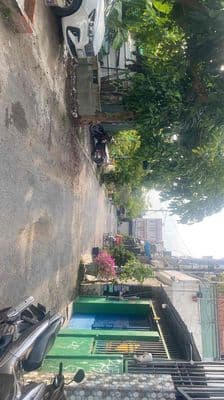 cho thuê nhà nguyen căn