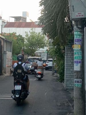 Nhà kiệt tôn đản 2 ôtô tránh nhau vị trí buôn bán