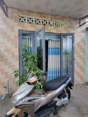 Bán nhà cấp 4 đường hẻm Lê Thị Siêng, Tân Thông Hội , Củ Chi