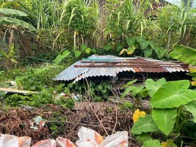 Tôi cần bán đất nền nông nghiệp, chính chủ
