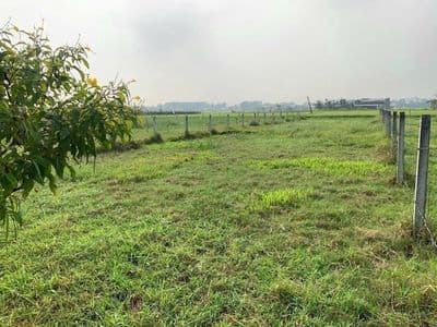 Bán đất thổ cư chính chủ 480 m2 Hoà Khánh Tây Ninh