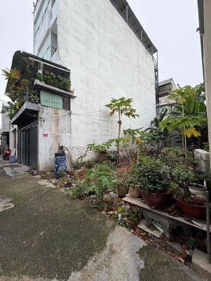 cần bán đất