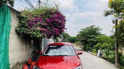 Bán nhà trệt lầu mới