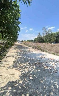 chính chủ cần bán đất