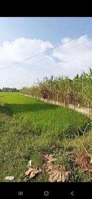 cần bán đất hòa khánh đông long an
