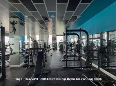 Cho thuê phòng gym 300m² – full máy móc