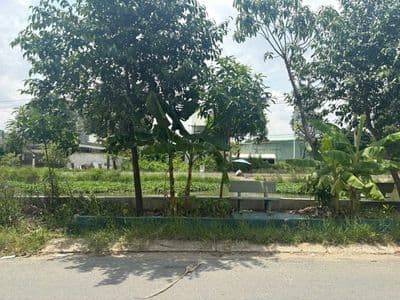 Cho thuê biệt thự nhà vườn 200m2 - 3PN-2WC - BIỆT THỰ VIEW SÔNG