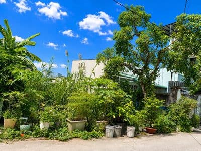 Còn 1 lô đất gần MT Lê Văn Lương, 7x25m, sổ riêng, chốt nhanh 4.3 tỷ