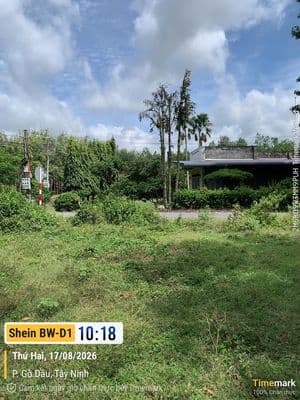 Cần bán Đất Gò Dầu- Tây Ninh 183,8m2