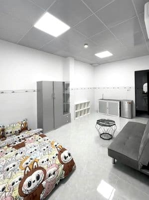 Căn hộ full nội thất đường Nguyễn Văn Linh, giá 3.3 triệu