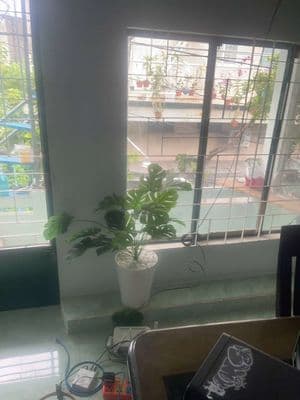 cho thuê nhà hẻm xe hơi đường Nguyễn Văn đậu