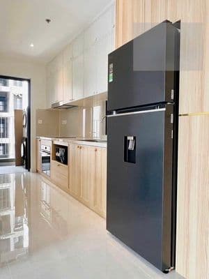 Căn hộ 2PN/2WC full NT mới 100% ở liền, giá 19tr/tháng, Giá chính chủ
