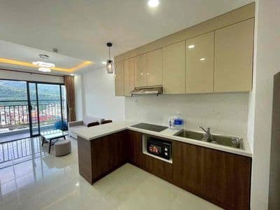 Cho thuê căn hộ 1 phòng ngủ tầng cao view núi sơn trà vào ở ngay
