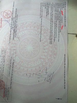 Đất đẹp Hòa Lợi 022 P. Hòa Lợi, gần ĐT 741, giá cực tốt