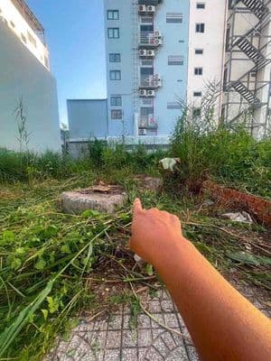 Em Thạch cần bán nền khu TĐC Đại học FPT, đường Nguyễn Văn Cừ, Ninh