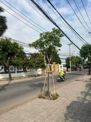 Giá siêu rẻ khu phân lô đường Ngô Chí Quốc DT 71 m2 ngang 5m giá 3,6ty