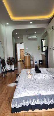 Bán nhà mặt tiền Lê Thúc Hoạch 65m,8 phòng khép kín cho thuê