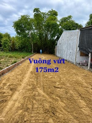 Bán gấp đất 171m2(5x35)giá 870 triệu đường Trần Văn Chẩm Củ Chi SHR