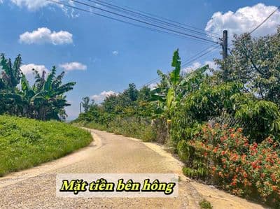 Đất thổ cư Xã Hòa Ninh - Di Linh Cách chợ quốc lộ 7km