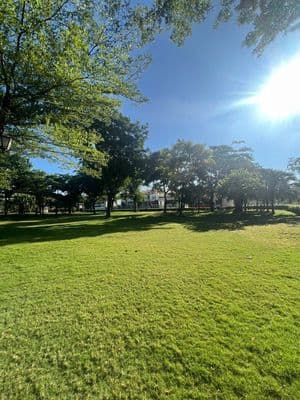 Bán nhà phố full nội thất view công viên loverapark khang điền