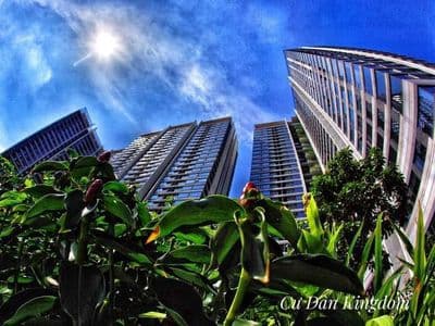 Bán 3pn 103m2 kingdom 101 - sổ hồng - chỉ 10,4 tỷ