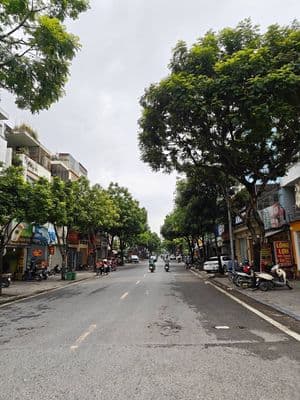 Bán nhà phố Trần Đăng Ninh, 7 tầng thang máy, mặt phố kinh doanh