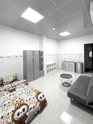 Căn hộ full nội thất đường Nguyễn Văn Linh, giá 3.3 triệu