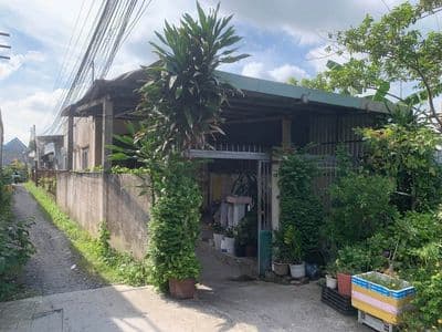 Bán nhà 240m2 đường Đình Bình Điền, Bình Chánh - Sổ hồng riêng