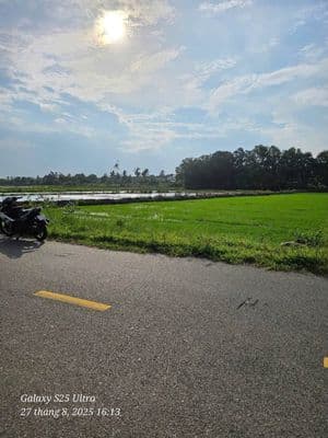 Bán đất Phước Hải, TP.HCM - View ruộng, 3km ra biển