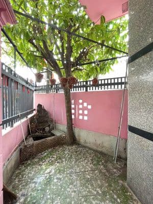 Bán nhà mặt tiền kd đường 339 Phước Long B, Quận 9, TP Thủ Đức
