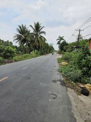 Bán đất mặt tiền đường Thanh Niên, Bình Chánh, 737m2, 8.5 tỷ