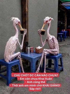 Bán căn hộ 3PN KĐT Đặng Xá, Thuận An, HN