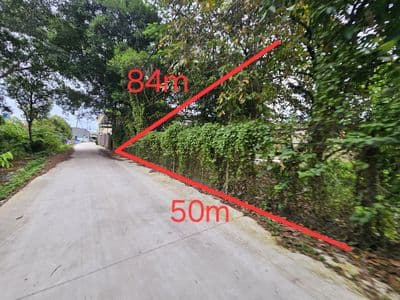CC - Trần Văn Giàu 50x84 (3.283m2) đường xe tải