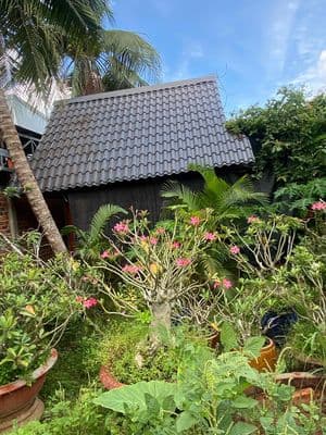 Bán gấp đất Bến Tre mặt tiền đường 30/4 – Thị trấn Châu Thành – Giá ch